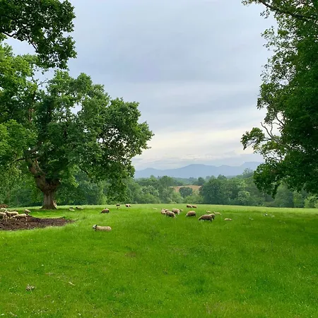 Btz Апартаменты *