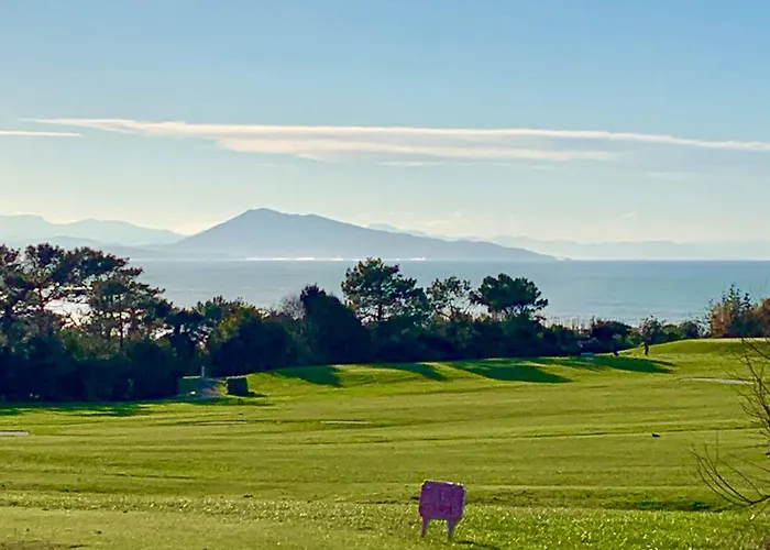 아파트 Btz 비아히쯔